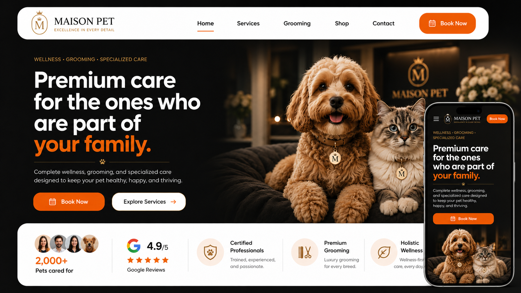 ArcaDev website example